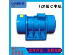 TZD振动电机图1